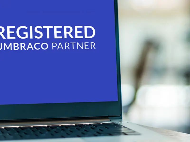 Why Umbraco is the CMS solution to make your business understandable