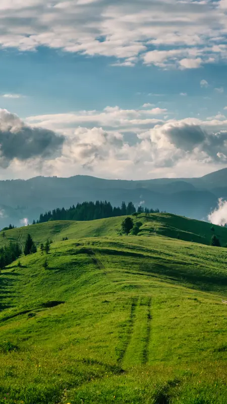 Exploring the Taskforce on Nature-related Financial Disclosures (TNFD) framework