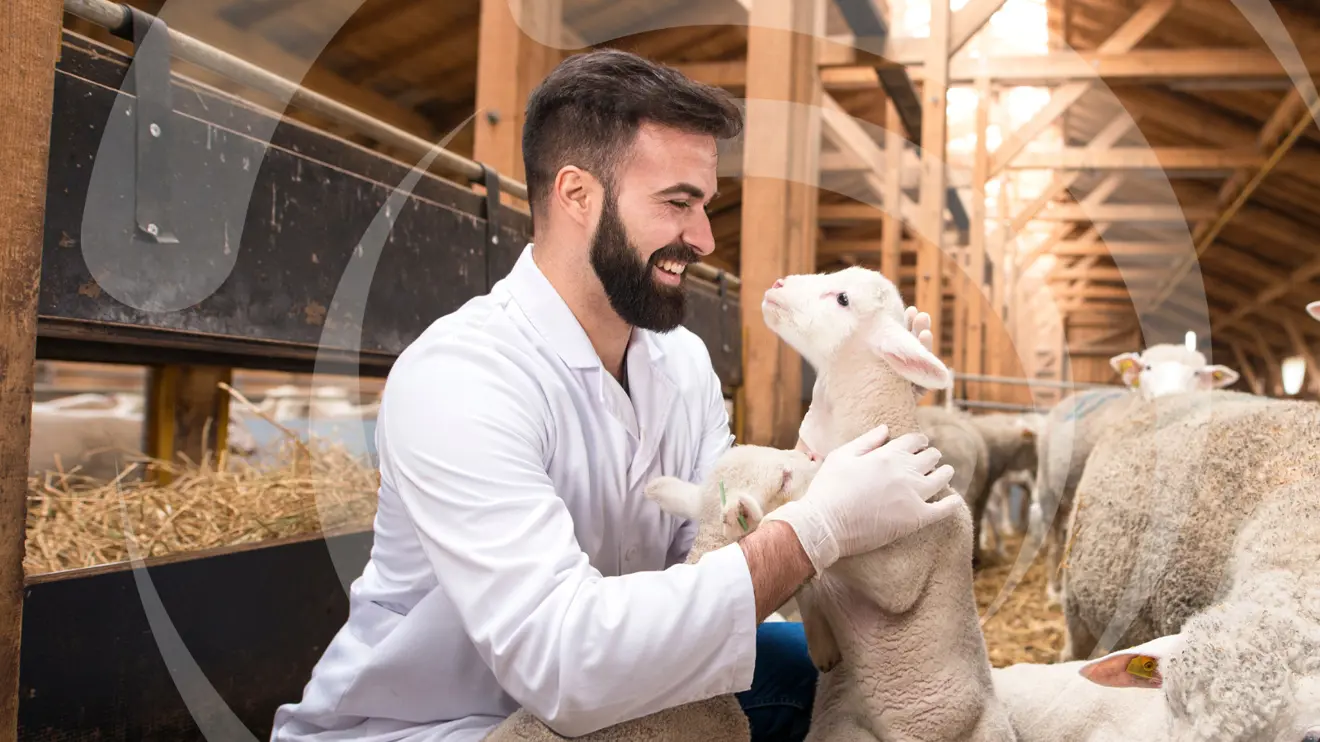 Animalcare Group