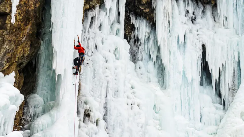 Adobestock 894380000